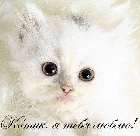 открытки любимым с любовью. я тебя люблю. i love you. люблю больше жизни