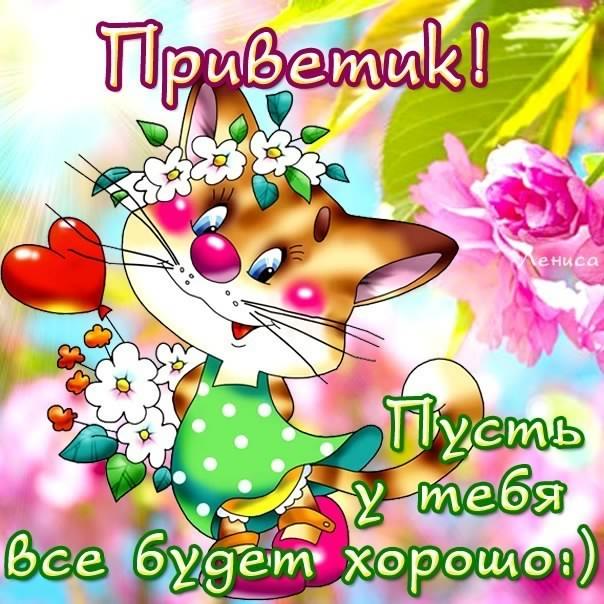 открытки привет, как дела. как настроение. пожелание хорошего дня