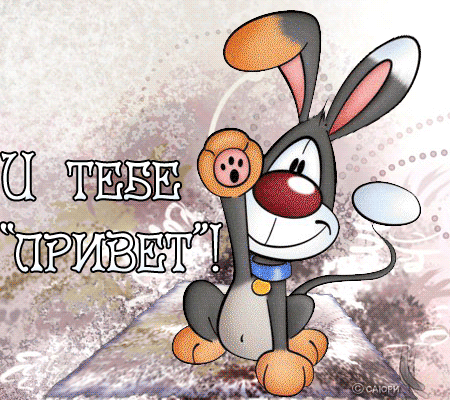 открытки привет, как дела. как настроение. пожелание хорошего дня