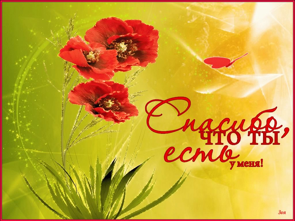 открытки спасибо, thank you, merci, благодарю тебя, большое спасибо