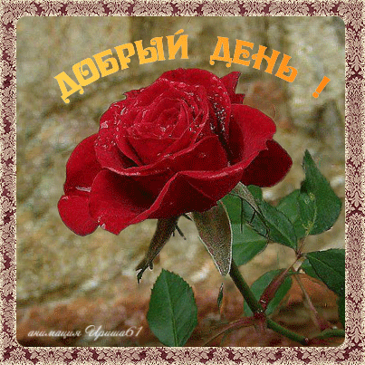 добрый день. открытки добрый день.доброго дня. хорошего дня. удачного дня