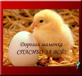 открытки маме с любовью. мама я тебя люблю. моя мама самая лучшая