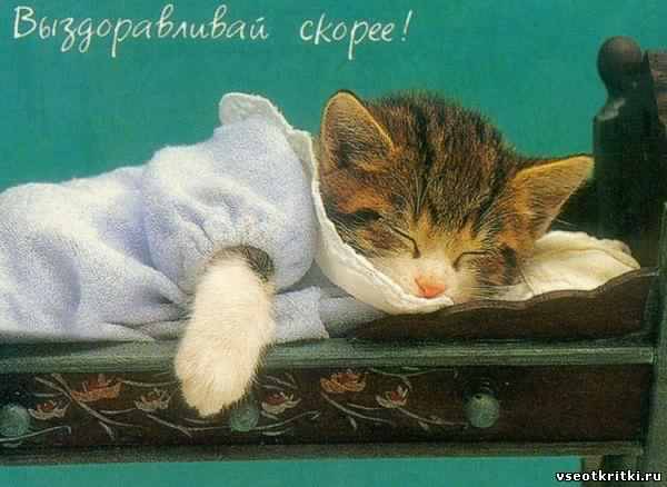 выздоравливай. желаю скорейшего выздоровления. не болей