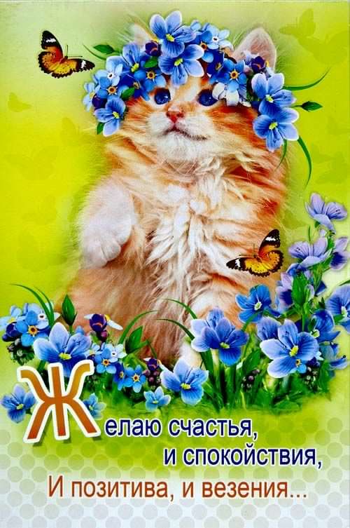 счастья. открытки с пожеланием счастья