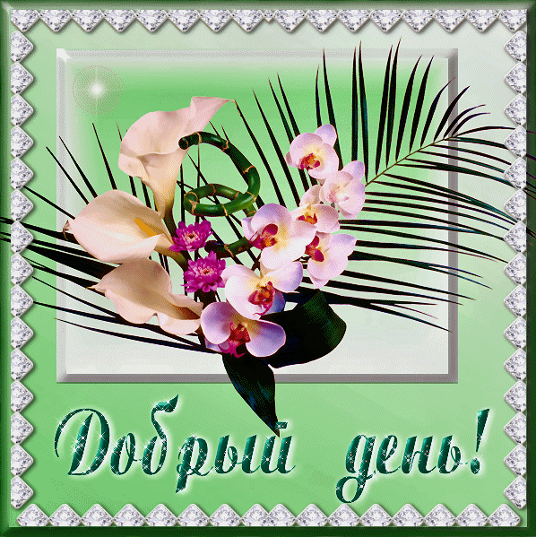 добрый день. открытки добрый день.доброго дня. хорошего дня. удачного дня