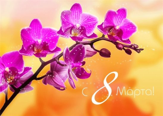 открытки к 8 марта. поздравления с 8 марта. пожелания на международный женски...