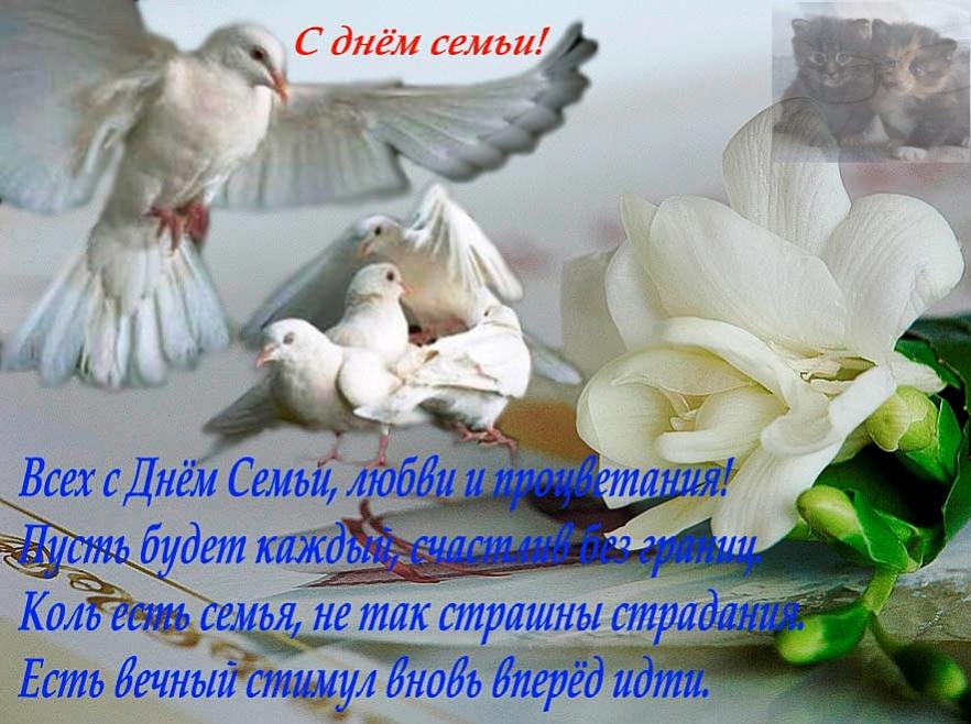 поздравления с днем семьи. моя семья. с днем семьи, любви и верности. поздрав...