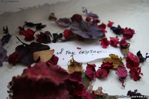 открытки я скучаю. мне скучно без тебя. я соскучилась по тебе . i miss you.