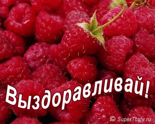 выздоравливай. желаю скорейшего выздоровления. не болей