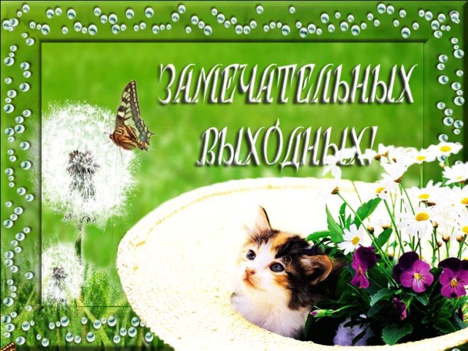 Приятных выходных