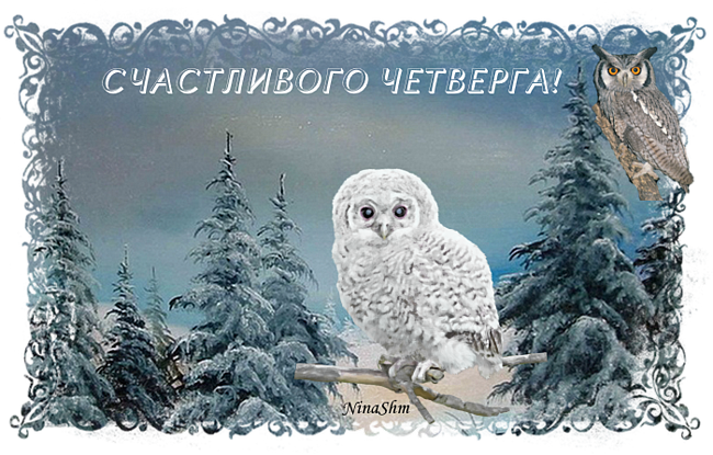 Открытки про четверг