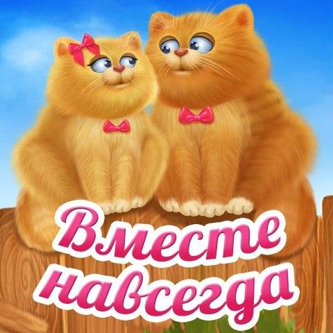 открытки любимым с любовью. я тебя люблю. i love you. люблю больше жизни