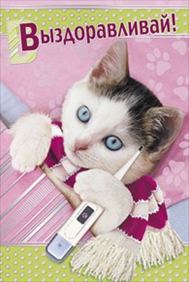 выздоравливай. желаю скорейшего выздоровления. не болей