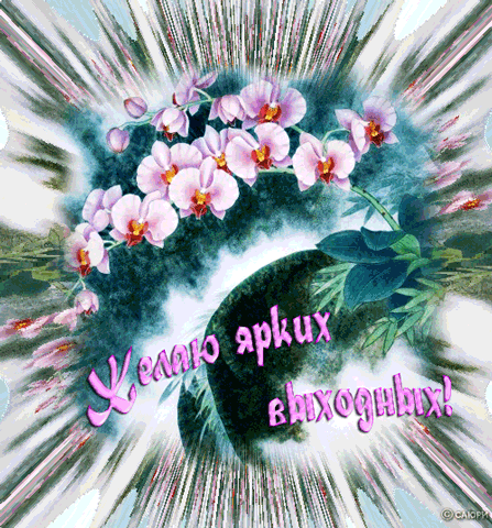 Приятных выходных