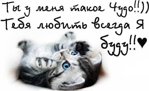 открытки любимым с любовью. я тебя люблю. i love you. люблю больше жизни