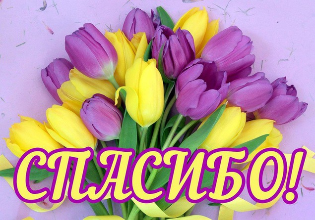 открытки спасибо, thank you, merci, благодарю тебя, большое спасибо