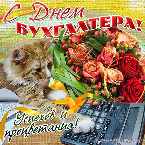 день бухгалтера. с днем бухгалтера. поздравляю с праздником, бухгалтера, поздравления и пожелания с днем бухгалтера. открытки к празднику день бухгалтера,
