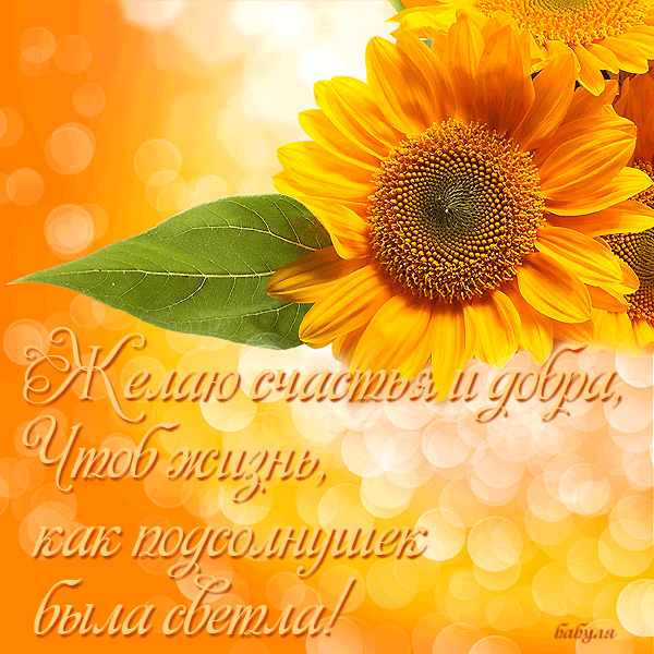 счастья. открытки с пожеланием счастья