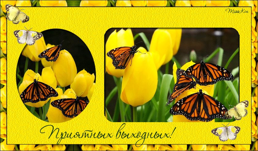 Приятных выходных