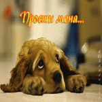 прости. прости меня. открытки прости. прости пожалуйста. прости меня пожалуйс...