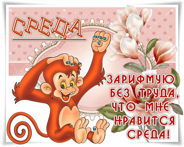 С веселой средой