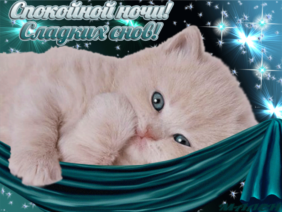 спокойной ночи. открытки с пожеланием спокойной ночи. приятных снов. сладких снов. приятных сновидений. доброй ночи. нежных снов. волшебных снов. спите сладко 