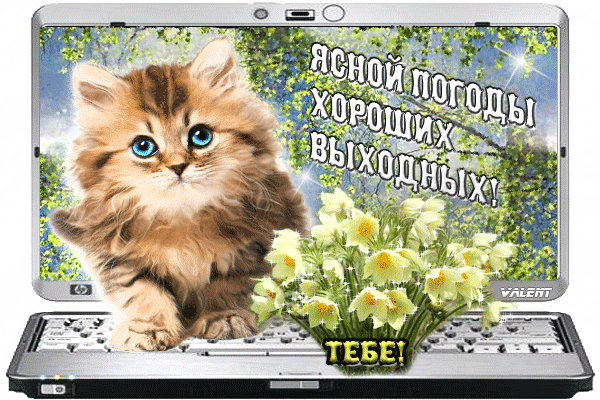 Приятных выходных