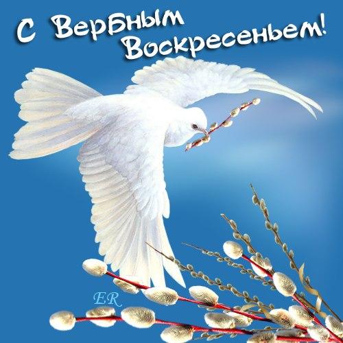 открытки на вербное воскресенье. пожелания к празднику вербное воскресенье