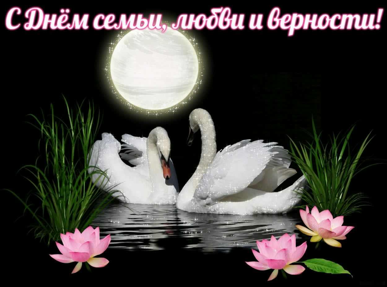 поздравления с днем семьи. моя семья. с днем семьи, любви и верности. поздрав...