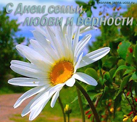 поздравления с днем семьи. моя семья. с днем семьи, любви и верности. поздрав...