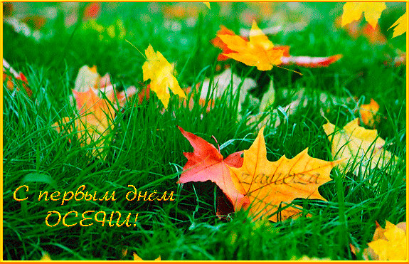 С началом осени