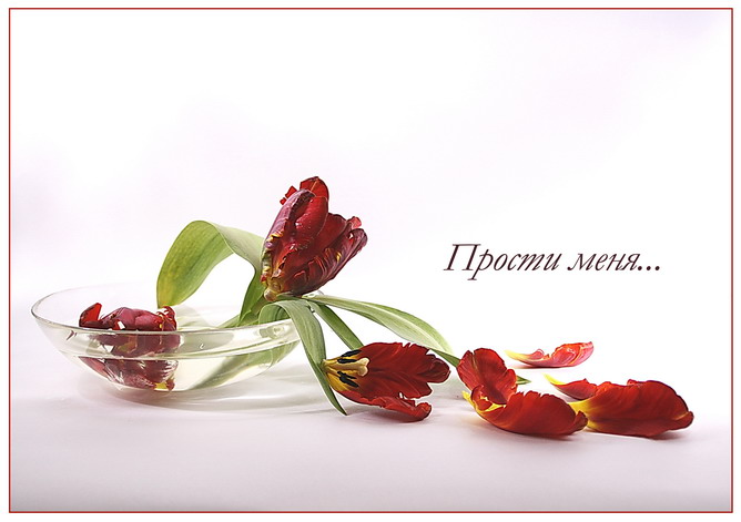 прости. прости меня. открытки прости. прости пожалуйста. прости меня пожалуйс...