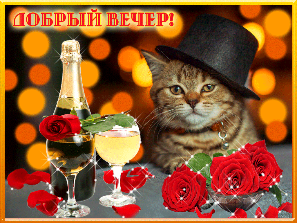 добрый вечер. приятного вечера. доброго вам вечера. хорошего вечера. приятног...