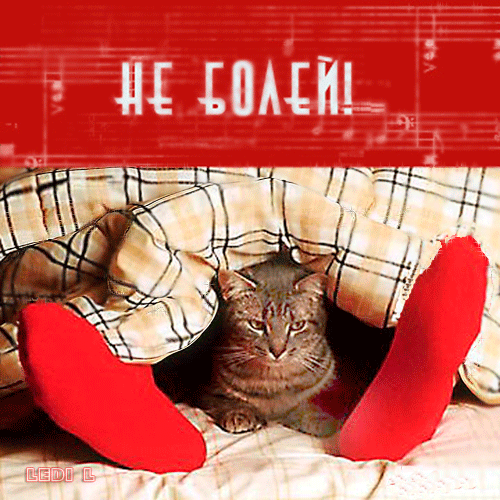 выздоравливай. желаю скорейшего выздоровления. не болей