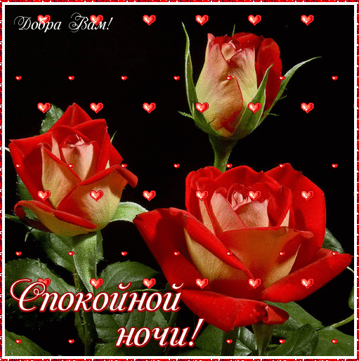 спокойной ночи. открытки с пожеланием спокойной ночи. приятных снов. сладких ...