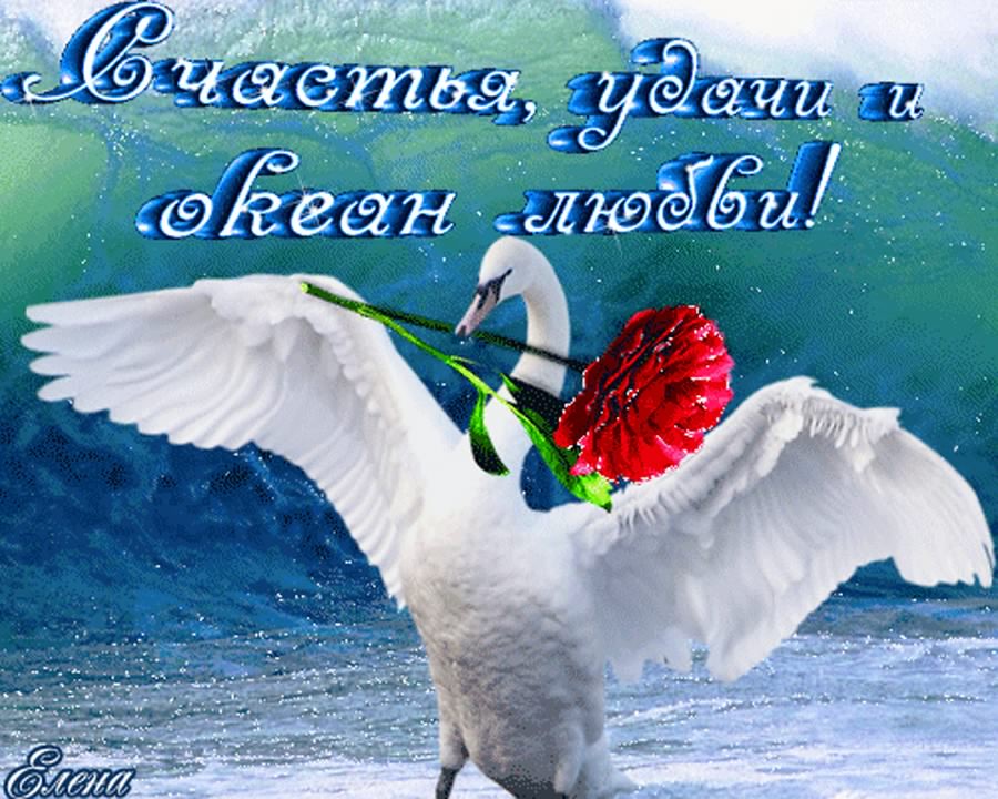 счастья. открытки с пожеланием счастья