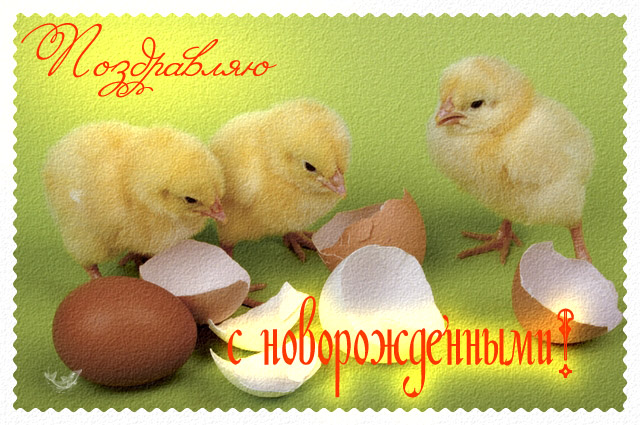 с новорожденным. поздравляю с рождением малыша==description=скачать открытки с рождением малыша. с новорожденным. поздравляю с рождением малыша. с рождением новой жизни. с новой жизнью. с прибавлением