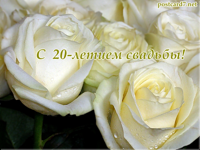 Без названия