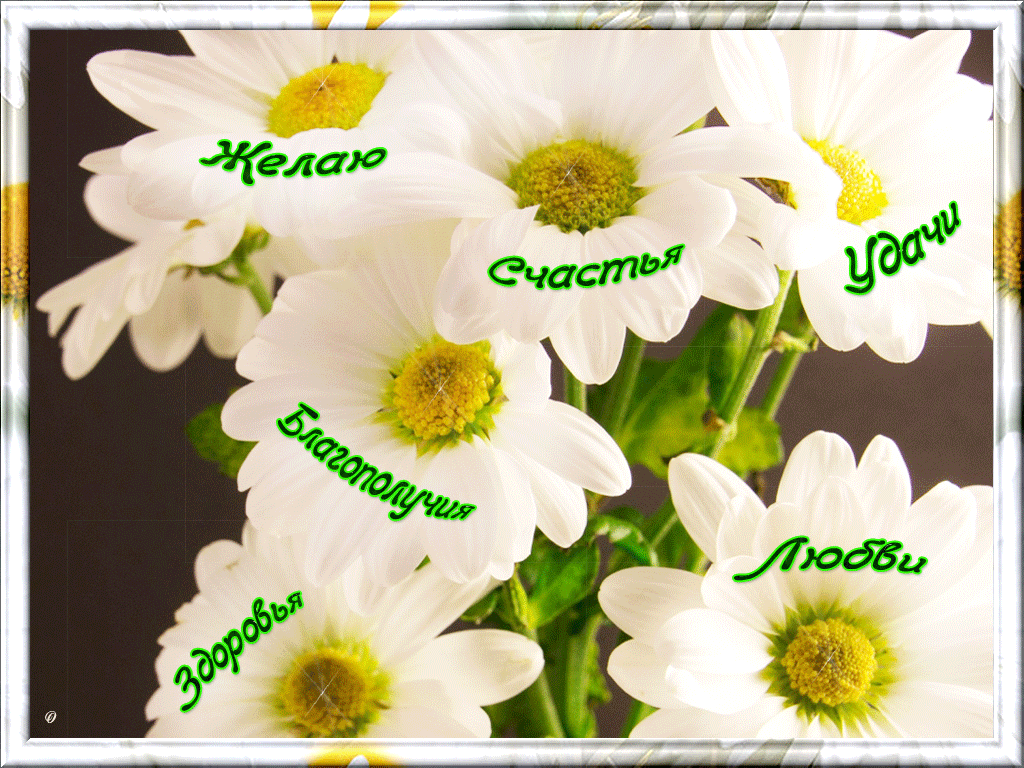 счастья. открытки с пожеланием счастья
