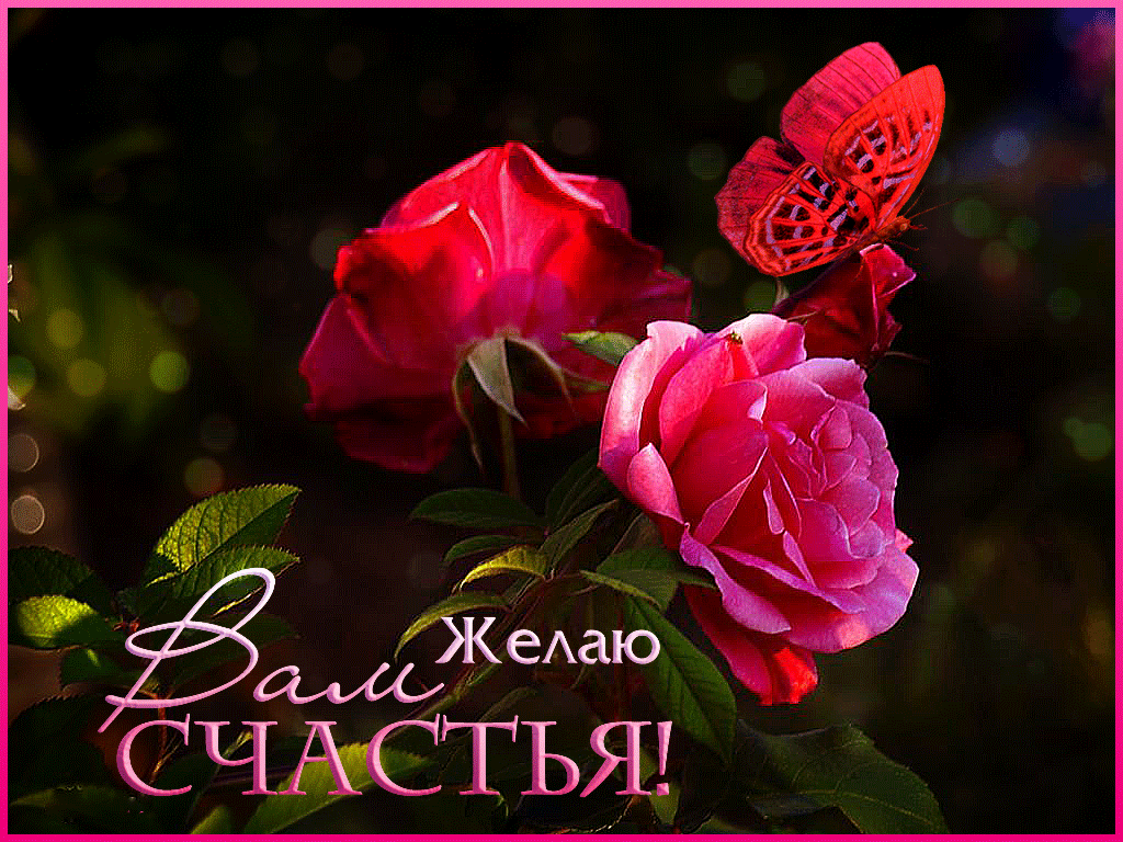 Желаем счастья. Пожелания счастья. Желаю вам счастья. Красивые розы с пожеланиями удачи.