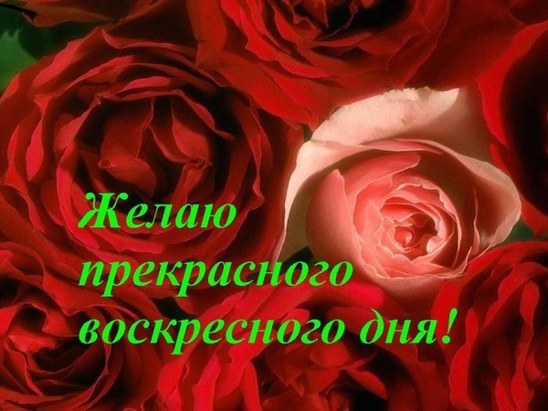 Счастливого воскресенья