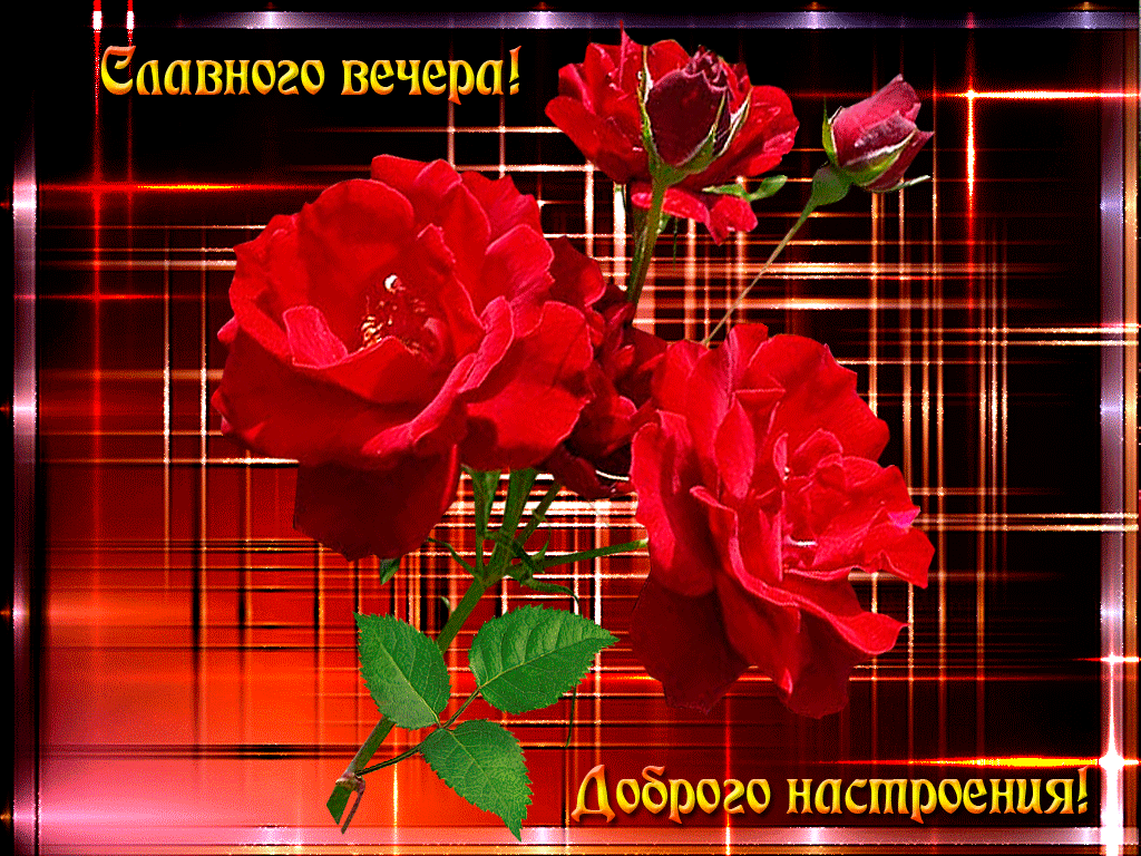 добрый вечер. приятного вечера. доброго вам вечера. хорошего вечера. приятного летнего вечера. отдыхайте с удовольствием .хорошего вечера, приятного общения