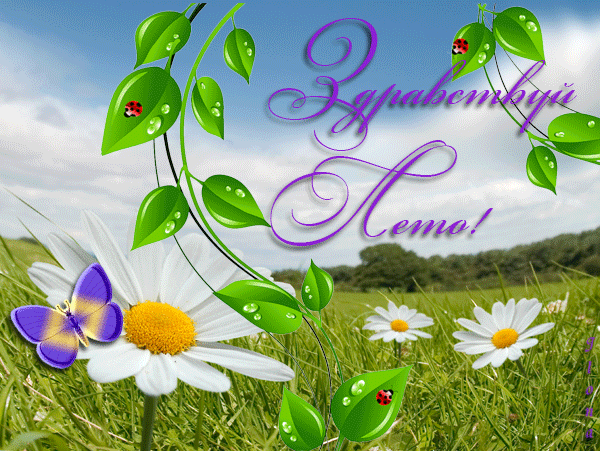 Открытки про лето