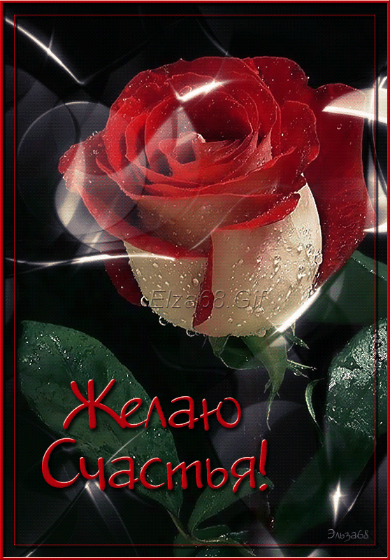 счастья. открытки с пожеланием счастья