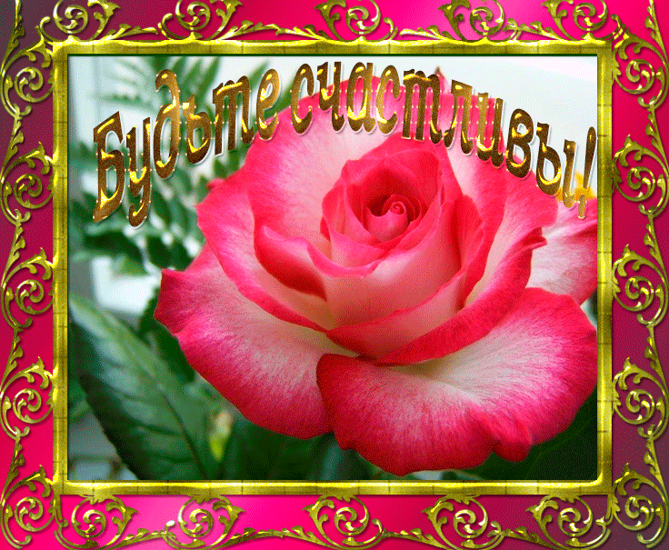 счастья. открытки с пожеланием счастья