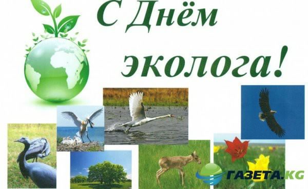 день эколога. открытки к празднику