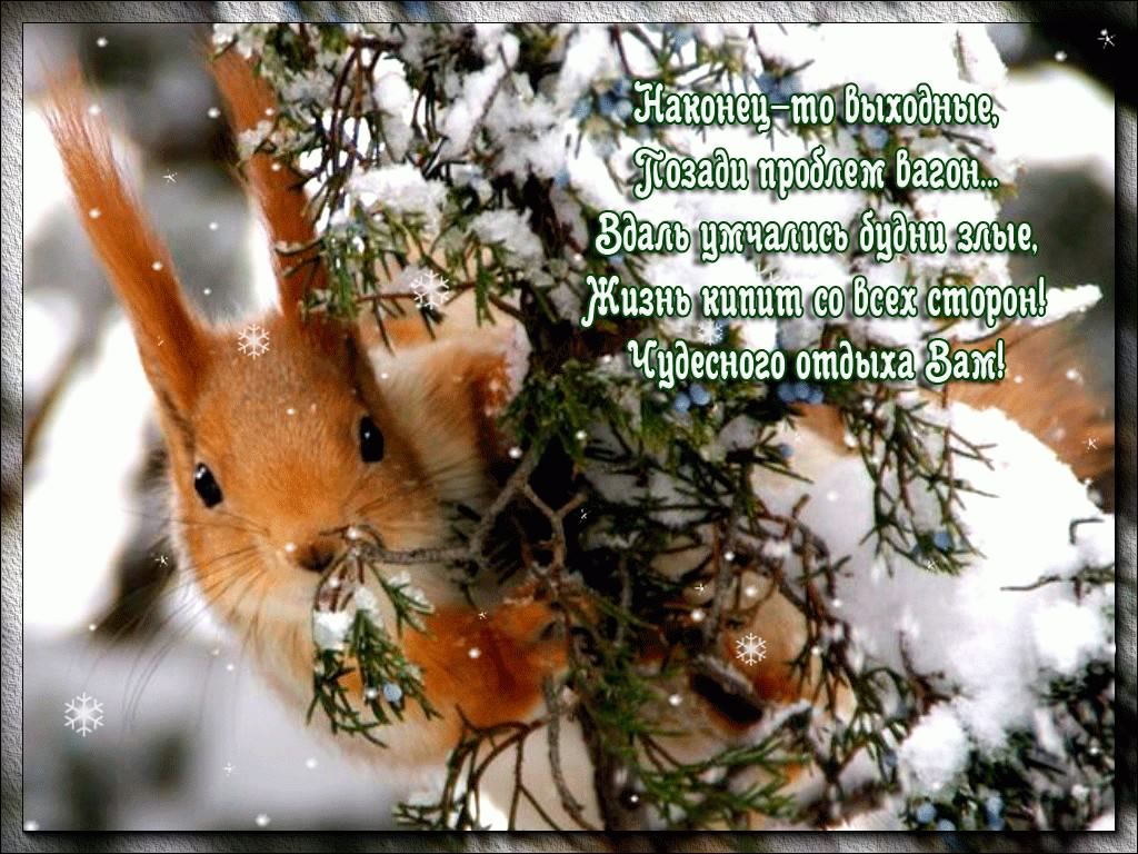 Приятных выходных