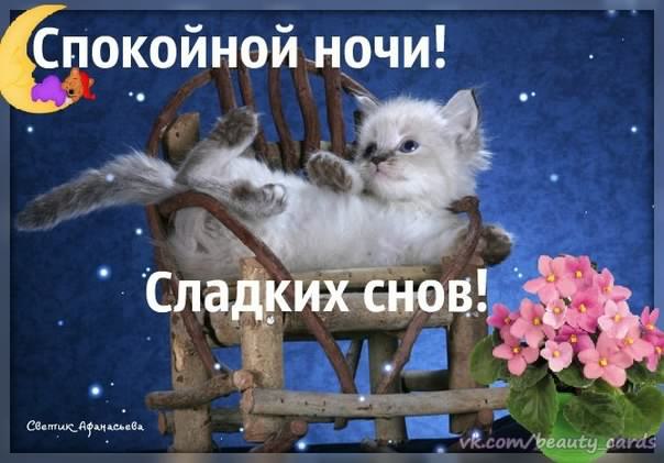 спокойной ночи. открытки с пожеланием спокойной ночи. приятных снов. сладких снов. приятных сновидений. доброй ночи. нежных снов. волшебных снов. спите сладко 