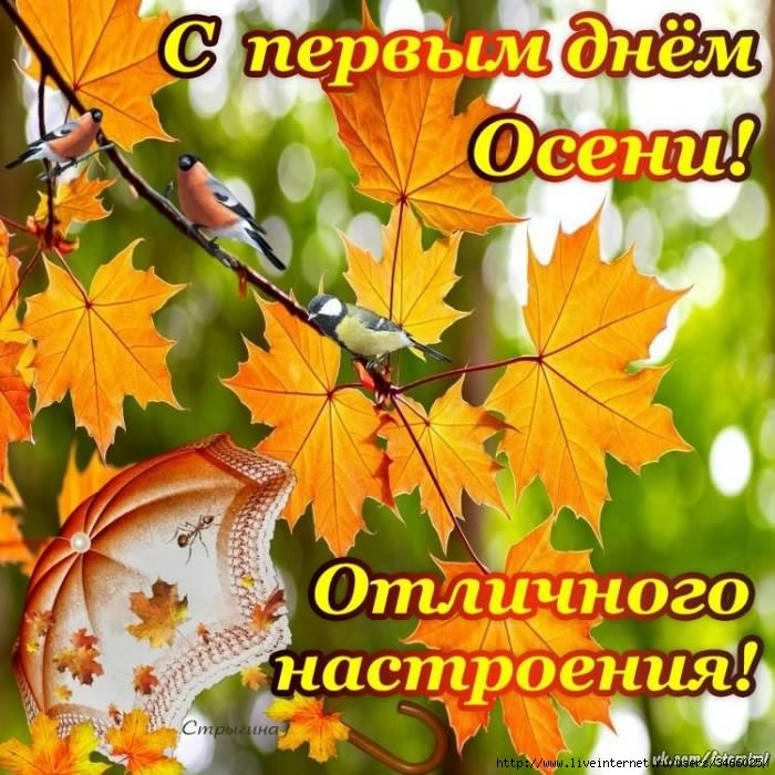 С началом осени