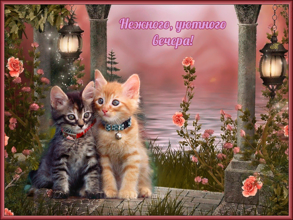 добрый вечер. приятного вечера. доброго вам вечера. хорошего вечера. приятного летнего вечера. отдыхайте с удовольствием .хорошего вечера, приятного общения